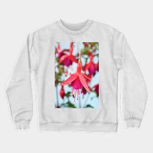 Fuchsia &#39;Pink Fizz&#39; Crewneck Sweatshirt